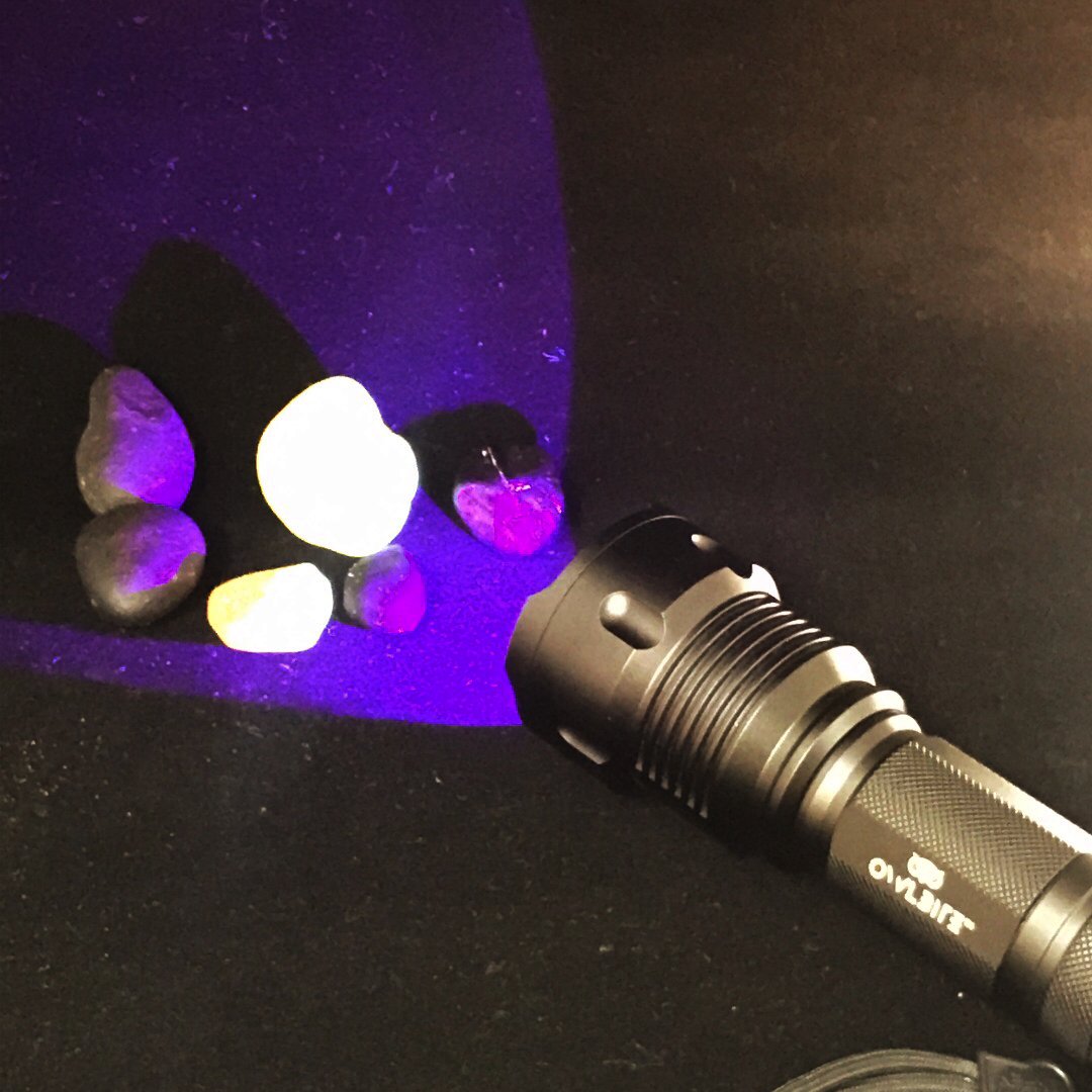 Ravlygte: 2-i-1 combi UV & LED lygte - OwlBite®. Lygte lyser på rav.